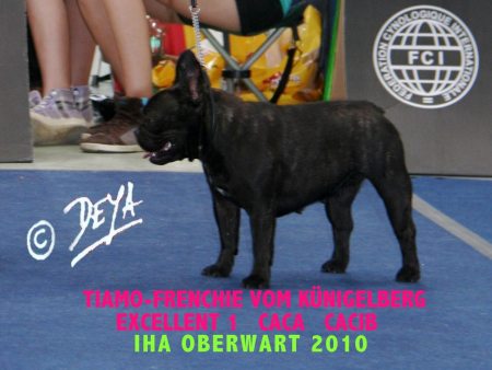 Oberwart 2010
